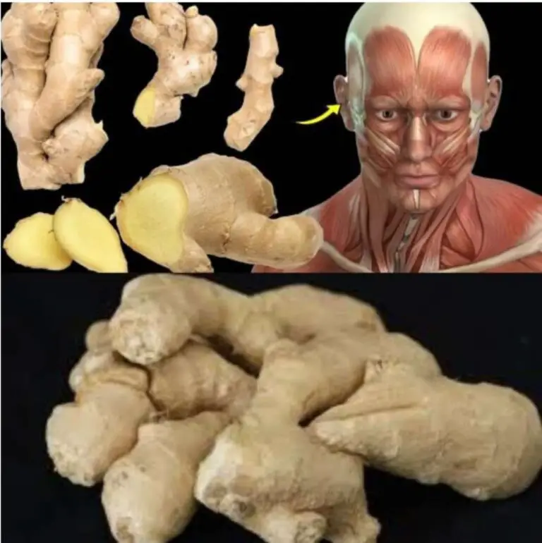 Unexpected Health Benefits of Eating Ginger Every Day: Why This Simple Root Should Be Part of Your Daily Diet