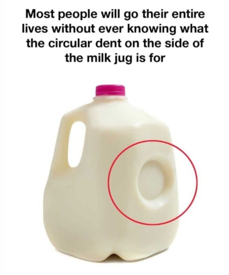 The Hidden Genius of the Milk Jug’s Circular Dent: Why This Small Design Feature Matters 🥛🔍