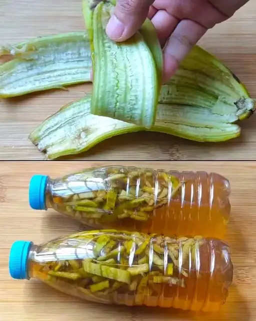 The Hidden Power of Banana Peel 🍌✨