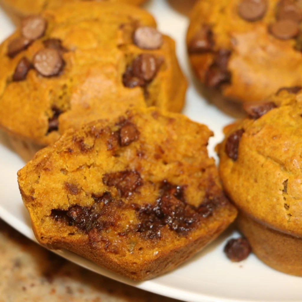 Fluffy and moist pumpkin chocolate chip muffins on a cooling rack