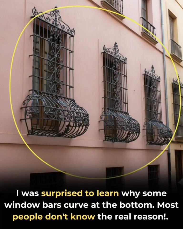 Why Are Some Window Bars Curved at the Bottom?