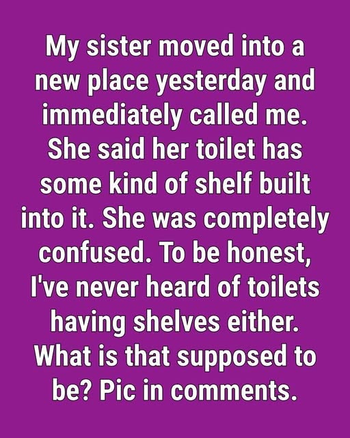 What It Is And Why There's A Strange Shelf Inside Some Toilets