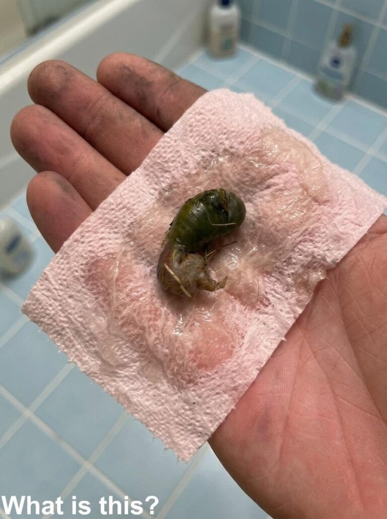 A Mysterious Discovery on Our Bathroom Floor Left Us Searching for Answers