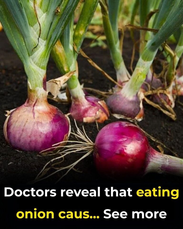 Doctors Reveal That Eating Onion Causes Surprising Changes in Your Body