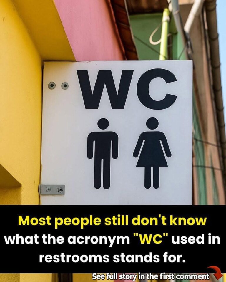 What Does “WC” Mean on Restroom Signs? The Surprising History Behind the Letters