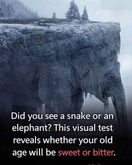 Snake or Elephant? This Optical Illusion Is Fascinating the Internet